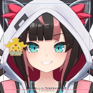 イリオ1.0 ワイルドキャットコーデ #サバンナストリート - アバターショップ コトブキヤ