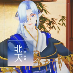 オリジナル3Dアバター【北天＆南天】 - a4shop